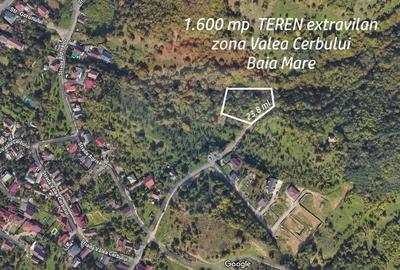 TEREN cu priveliste- Valea Cerbului - 4
