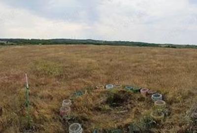 Teren de 76200 mp, în Lugoj - 2