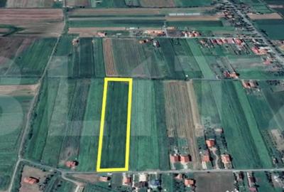 Teren de 11500 mp, în Central