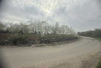 Spațiu comercial, în Movila (Niculești) - 1