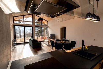 Casă cu 4 camere în Izvoru Mureșului - 2