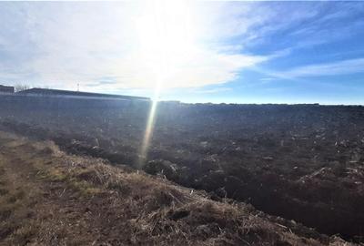 Otopeni - Strada Alexandru Ioan Cuza - 7