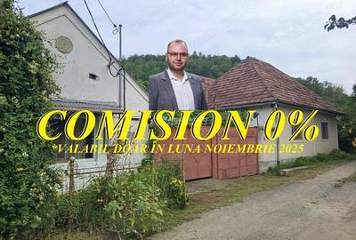 Bradisoru de Jos, Casa 14 Incaperi + Teren 1439MP - 11