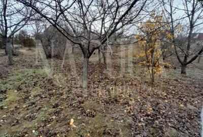 Spațiu comercial, în Central - 1