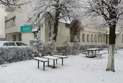 Birou, de 526 mp, în Central