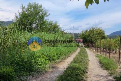 Teren intravilan com. Alexandru cel Bun- Viisoara - 12