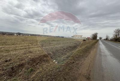 Teren Construcții intravilan de 750 mp, în Fântânele - 3