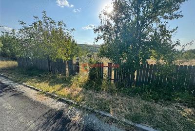 Teren intravilan Barnova Todirel - 3