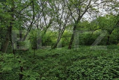 Teren de 14000 mp, în Mihai Viteazu - 19