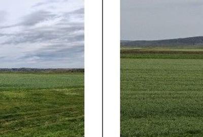 Teren Andrieseni, cota parte 1/20, ID: R2603082 - 1