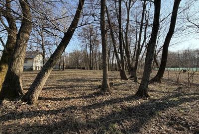 Spațiu comercial, în Peștișani - 6