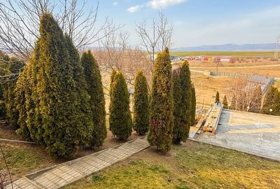 Spațiu comercial, în Central - 5