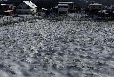 Spațiu comercial, în Sălicea - 8