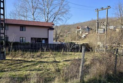 Teren 4.549 mp intravilan, cu posibilitate de parcelare. - 4