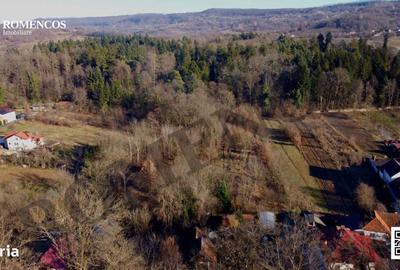 Casă cu 3 camere în Mihăești - 9