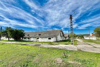 REC3001167 Hala industriala 18500mp Scornicesti-Olt - 3