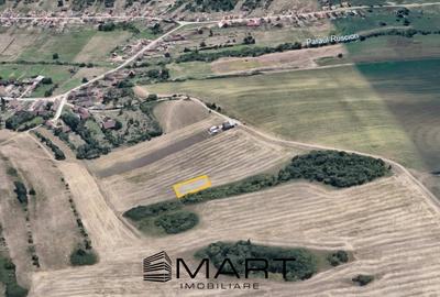 Teren extravilan 650mp Rusciori - 2