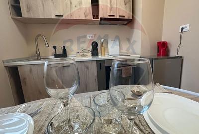 Apartament cu 2 camere în Ultracentral - 7