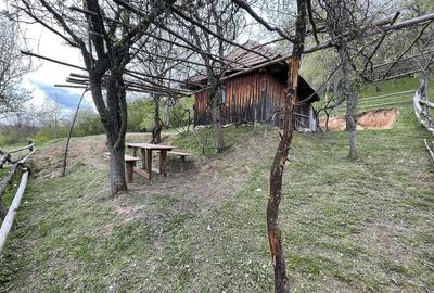 Casă cu 2 camere în Bătrâna - 7