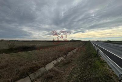 Teren 5.000 mp centura Calea Sagului- Freidorf. Comision 0 - 6