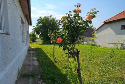 Apa, casa P+M,14 ari teren - 4