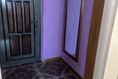 Apartament cu 2 camere semidecomandat în Podu Roș - 2