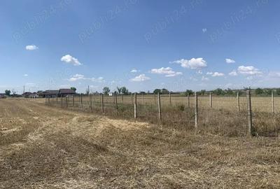 Teren de 1225 mp, în Vasile Alecsandri - 4