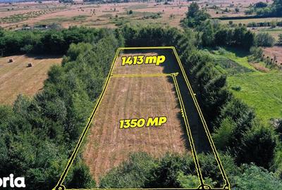 Teren de 2763 mp, în Porumbacu de Jos - 5