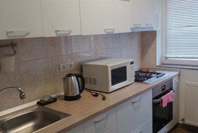 Inchiriere apartament 2 camere Dorobanti - 12