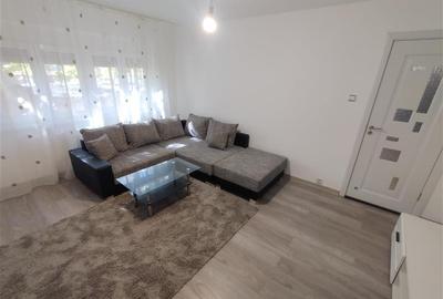 Apartament cu 2 camere semidecomandat, mobilat în Vest - 13