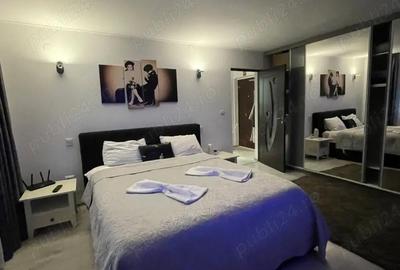 Garsonieră decomandată în 1 Decembrie - 5