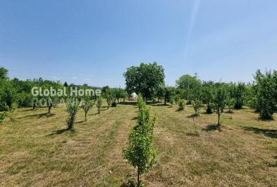 1000MP Teren Intravilan | Prahova - Cornu De Jos | Toate Utilitatile Prezente - 5