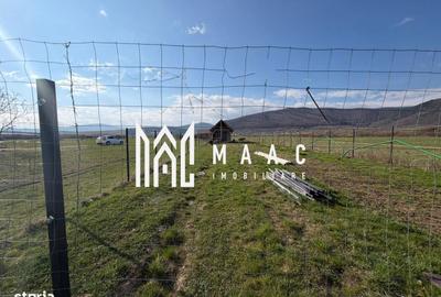 Teren de 1000 mp, în Central - 3