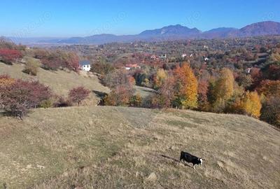 Teren de 2500 mp, în Bran - 6