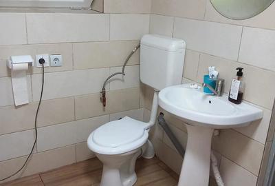 Casă cu 2 camere în Cosminele