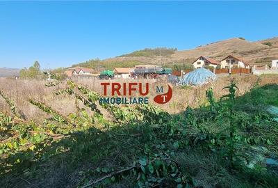 Teren de vanzare 1100 mp in comuna Ciugud cu utilitati - 3