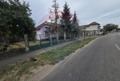 Casa si teren de 1195mp in Tinca - 5