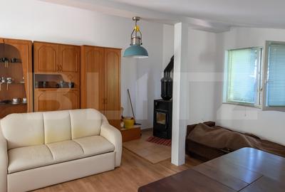 Cabana de vanzare cu teren generos in Belis - 3