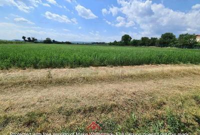 Teren intravilan in Urleta 5300mp--45.050e - 8