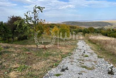 Teren Construcții intravilan de 3744 mp, în Gheorghieni