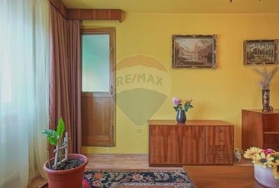 Apartament cu 3 camere de vanzare pe Mircea cel Batran - 11