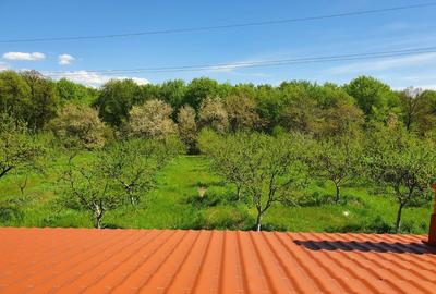 Casă cu 4 camere în Central - 4