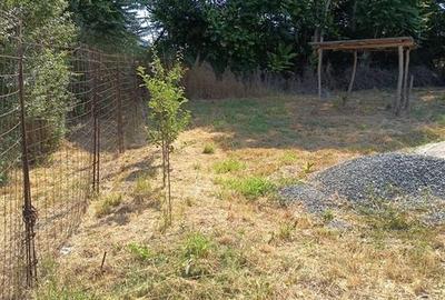 Vand teren intravilan comuna Corbu 1000mp - 4