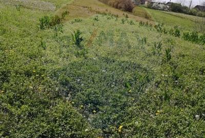 Teren Construcții intravilan de 6574 mp, în Leș - 6