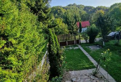 Casă cu 2 camere cu Teren 550 Mp în Central - 4