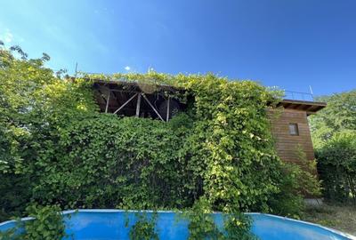 Casa-langa studiourile Buftea, 2 constructii, curte cu pomi, 2500mp, langa lac - 37