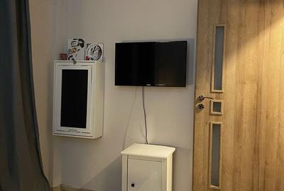 Apartament cu 2 camere semidecomandat în Teiul Doamnei - 3