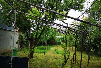 Casă cu 3 camere în Mazepa 2 - 9