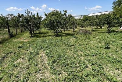 Spațiu comercial, în Letea - 4