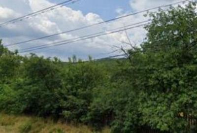 Teren de 393 mp, în Furești - 9